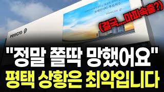 평택 브레인시티 푸르지오 미분양 아파트 \