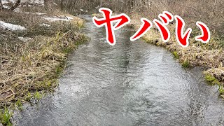 魚が捕れすぎる川でおかしな魚が出た【ガサガサ】