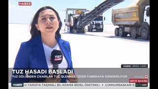 TUZ GÖLÜ'NDE HASAT BAŞLADI