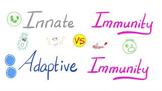 Innate Immunity vs. Adaptive Immunity - Complement System - Immunology - Physiology Lectures Series