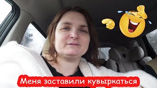 VLOG Ищем полочки. Ну и шутки у Кости, я в шоке