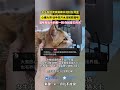 女生发现流浪猫被水泥封在洞里，心痛大哭，徒手挖开水泥解救猫咪 ！