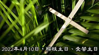 2022年4月10日，受苦主日、棕枝主日