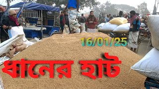 16 January 2025 আজকের ধানের বাজার দর | paddy rice market price rates in pabna Bangladesh