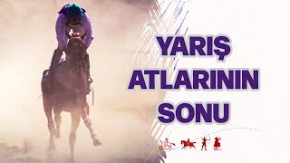 Yarış Atlarının Sonu. Hipodromdan Gelen Atların Oryantasyonu Nasıl Yapılıyor ? | Ertan Erkekoğlu