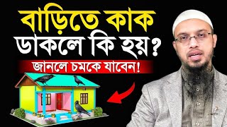 কাক ডাকলে কি হয়? || Shayek Ahmadullah || Islamic Hour #suggestedvideo