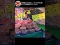 アメ横でマグロとかカニとか売ってるけど買って大丈夫？？安心して上野アメ横で大晦日やお正月の準備をしたい方、参考にしてください！吉池も！