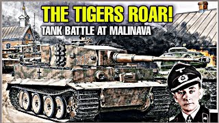 2 Tiger Is vs 17 IS-2s: Tank Battle at Malinava | Otto Carius Storms the Village!