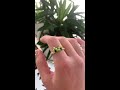 frog ring