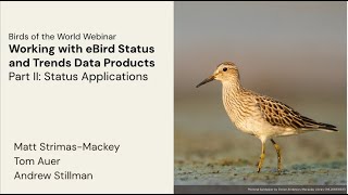 Working w. eBird Status and Trends Part II: analyzing Status data in R