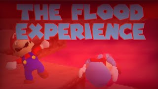 The Flood Experience | Super Mario 64 Co-Op