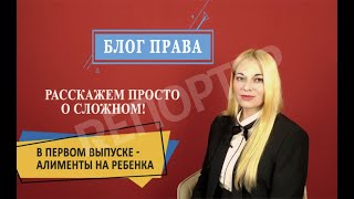 БЛОГ ПРАВА: алименты на ребенка