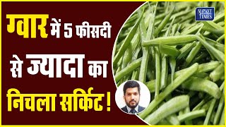 ग्वार में 5 फीसदी से ज्यादा का निचला सर्किट !  Market Times TV #guar #guargum #guarseed #ग्वार