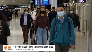 澳洲中国直飞航班大批熔断机票飞涨  澳洲旅客辗转返华  | SBS中文