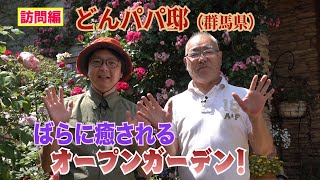 ばらに癒されるオープンガーデン！（どんパパ邸）～ガーデンドクターTV131