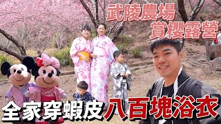 晚上九點逃離武陵農場，全家穿浴衣賞櫻露營｜親子露營NO.16｜彼得爸與蘇珊媽