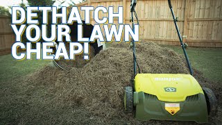 One TOOL to Drastrically Improve Your Lawn!