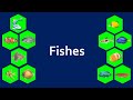 65 Fishes name in ENGLISH with Pictures | Fish names | Learn & Nurture