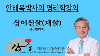 갑술명리학연구소 십이신살(재살)