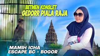 LOVEBIRD KONSLETNYA MAMIH ICHA NEKAD TURUN DI Piala Raja ²¹Tahun