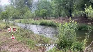 百里山水画廊河口桥和秀水湾旁露营玩水地攻略 如何河边露营？