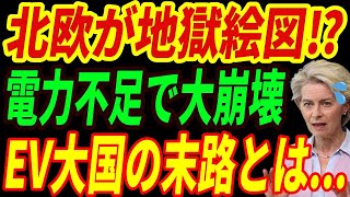 【海外の反応】EV大国が大地獄⁉大寒波で電欠したEVが乗り捨てられて大混乱！