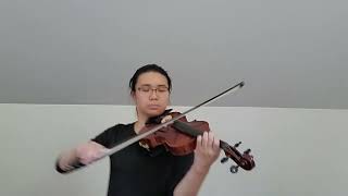 王琪 - 可可托海的牧羊人 | Violin Cover by Angela