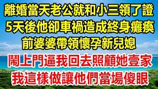 離婚當天老公就和小三領了證，5天後他卻車禍造成終身癱瘓，前婆婆帶領懷孕新兒媳鬧上門，逼我回去照顧她壹家，我這樣做讓他們當場傻眼#情感故事 #生活經驗 #為人處世 #幸福人生