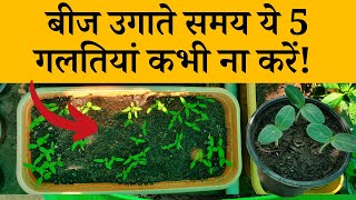 बीज उगाते समय ये 5 गलतियां कभी ना करें! | 5 Most Common Seed Starting Mistakes in Hindi