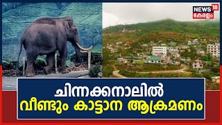 Idukki ചിന്നക്കനാലിൽ വീണ്ടും കാട്ടാന ആക്രമണം ; ആക്രമിച്ചത് ചക്കക്കൊമ്പനെന്ന് സൂചന | Malayalam News