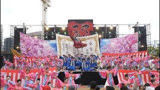 [4K] 大阪教育大学よさこいサークル 凜憧 『青春桜歌』こいや祭り2018 太陽の広場メイン会場