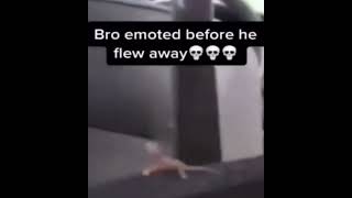 bro emoted before he flew away