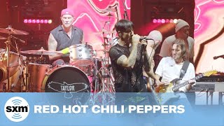 Dani California  — Red Hot Chili Peppers | LIVE Performance | SiriusX