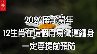 【生肖運勢】2020庚子鼠年，12生肖在這個月份易霉運纏身，一定要提前預防！