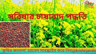 সরিষার (Mustard)চাষাবাদ পদ্ধতি।@Krishirjanala