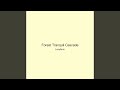 Forest Tranquil Cascade