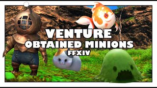 FFXIV Beginners Guide  Unlocking All Minion Obtained Through Ventures