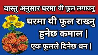 वास्तु अनुसार घरमा यी फूल लगाउनु| लक्ष्मी ल्याउने फूलहरू |एक फूलले बन्नेछ घर | Vastu Tips