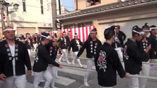 20130913 00111 第2回試験曳き 中之濱町 貝源 岸和田だんじり祭