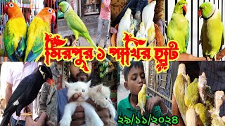 যাকে যাকে পাখি আসছে ll মিরপুর ১ পাখির হাট ll mirpur pakhir hat#viralvideo