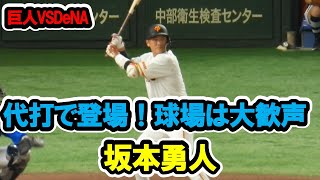 坂本勇人　代打で登場！球場は大歓声！　2024/7/14　巨人対DeNA　東京ドーム　【現地映像】