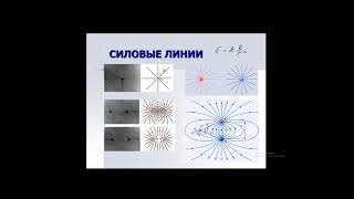 Электростатика 3  Силовые линии