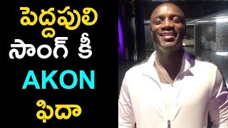 Chal Mohan Ranga Movie - Pedda Puli song Akon byte - Niharika Movies