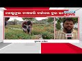 bazaar halchaal highly educated marigold farmer gets independent u0026 benefited by selling flowers