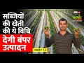 Machan kheti में एक एकड़ का खर्च और मुनाफा || Vegetable Farming With Drip Method || Sabji Ki Kheti