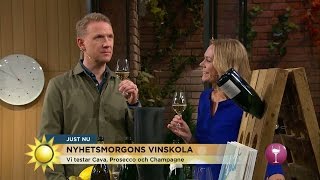 Så smakar Cava, Prosecco och Champagne - Nyhetsmorgon (TV4)