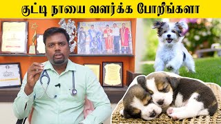 New Puppy Care Ideas Tamil | நாய்க்குட்டியை பராமரித்து வளர்ப்பது எப்படி? | Samayam Tamil