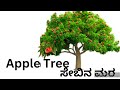 ಮರಗಳ ಹೆಸರು tree s name