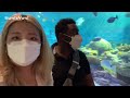 🇨🇩🇰🇷 국제부부 date vlog in korea coex aquarium 삼성코엑스 아쿠아리움 vlog 🐬 스타필드 오마카세