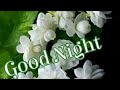 good night sweet dreams ❤❤❤ good night sweet dreams images photos YouTube video ❤❤❤